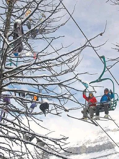 为什么美国滑雪场的树上总挂满了胸罩（组图） - 1