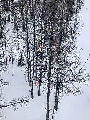 为什么美国滑雪场的树上总挂满了胸罩（组图） - 21