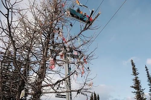 为什么美国滑雪场的树上总挂满了胸罩（组图） - 14
