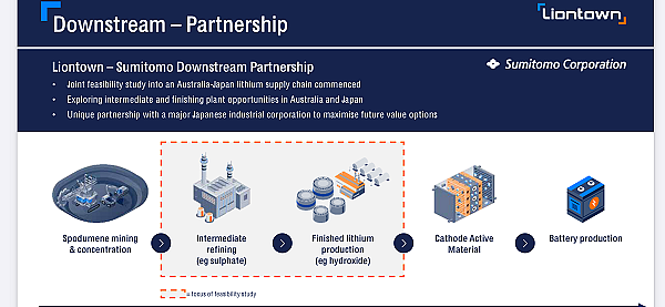 【澳股观察】：从锂矿明星股Liontown Resources（ASX：LTR）股价变迁看锂矿板块之起伏 - 1