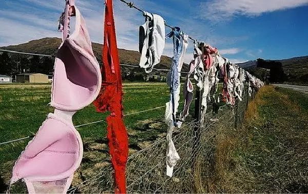 澳洲女性乳腺癌发病率最高！世界最“污”景点，漫山遍野都是胸罩，无数妹子各种脱光！背后原因很感人…（组图） - 19