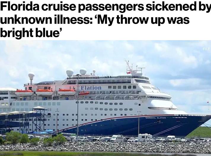 噩梦之旅！豪华邮轮成“病毒培养皿”，乘客集体感染怪病，狂呕蓝色不明物质（组图） - 1