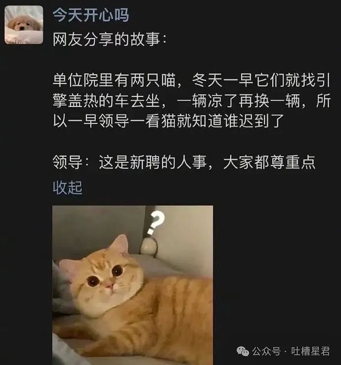 【爆笑】“巴黎世家2300的发夹是镶钻了吗？”网友无语：戴上我能和奥特曼结婚吗！（组图） - 71