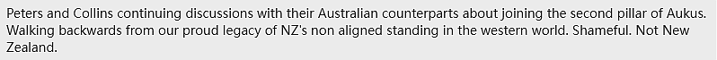“这不是新西兰！”新西兰防长和外长齐聚澳洲，AUKUS提上议程，无核化立场松动（组图） - 12