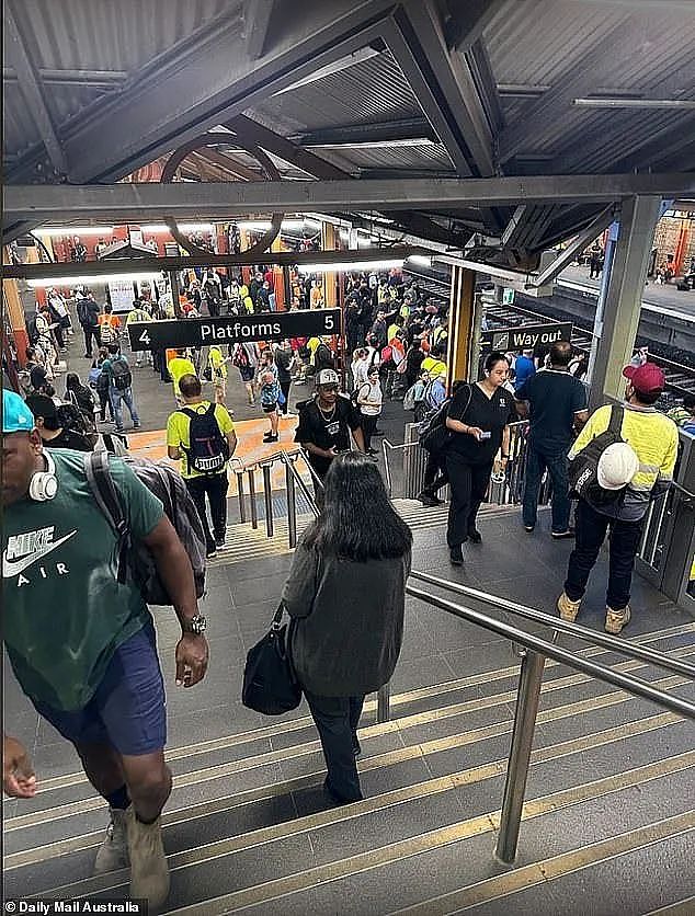 悲剧！悉尼发生火车撞人事故，1男1女当场死亡！死者身份确认！事故原因竟是因为…Burwood发生跳轨自杀事件（组图） - 10