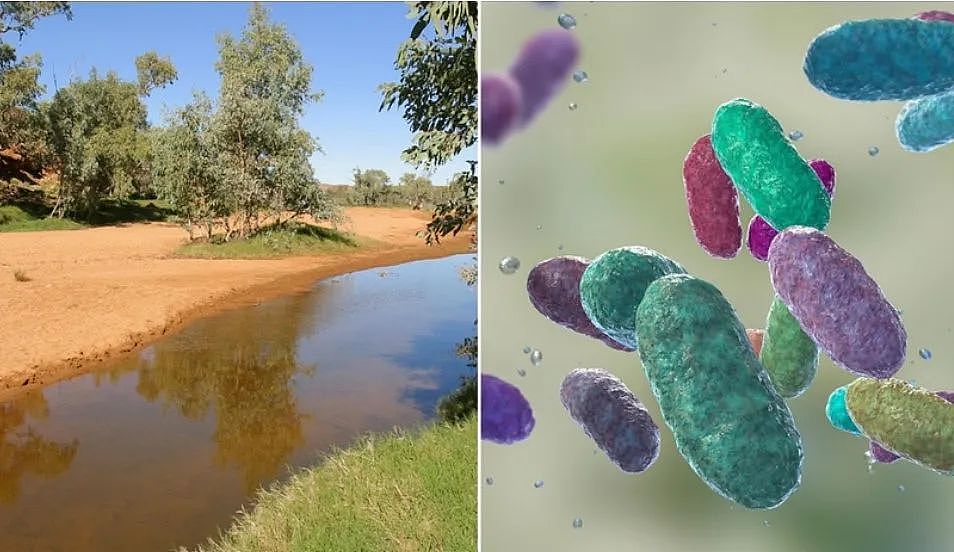 昆州已确诊9例！新冠疫情还没结束，又一致命细菌袭澳，已致一地区2人死亡，当局发警告（组图） - 2
