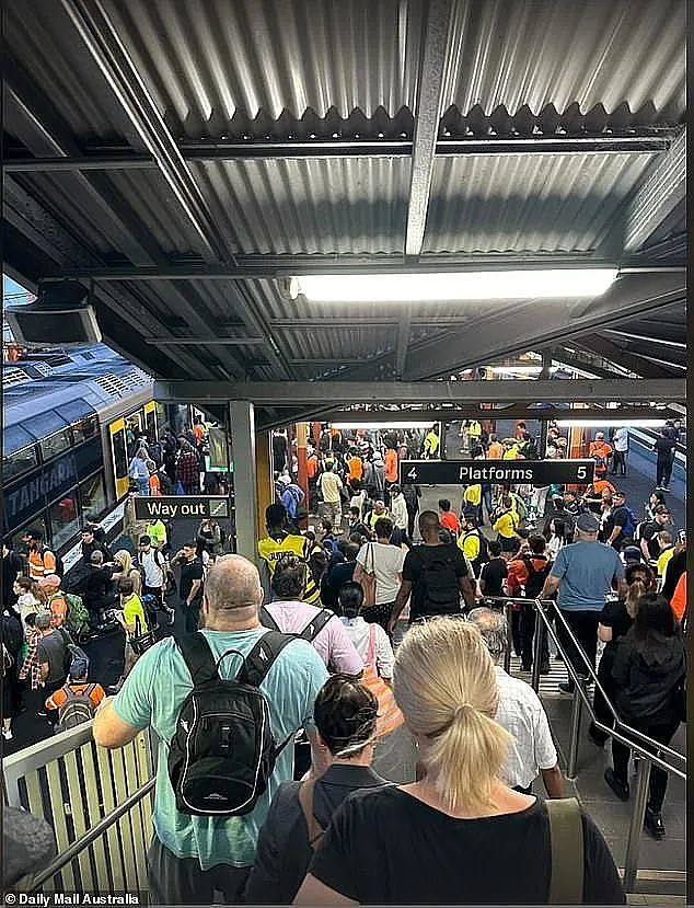 悲剧！悉尼发生火车撞人事故，1男1女当场死亡！死者身份确认！事故原因竟是因为…Burwood发生跳轨自杀事件（组图） - 7