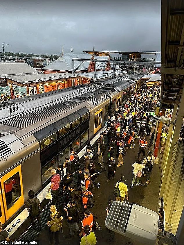 悲剧！悉尼发生火车撞人事故，1男1女当场死亡！死者身份确认！事故原因竟是因为…Burwood发生跳轨自杀事件（组图） - 8