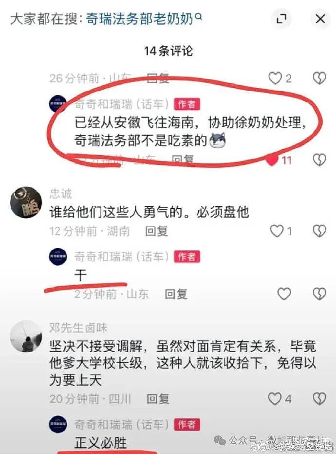 奔驰砸车事件，徐老太太的白车撞人细节被拍下，奇瑞评论区却沦陷了（组图） - 13