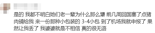 炸锅！中国人来澳洲旅游，刚到机场就被重罚17000！澳洲重磅海关新规来啦！（组图） - 17