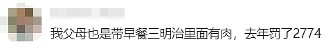 炸锅！中国人来澳洲旅游，刚到机场就被重罚17000！澳洲重磅海关新规来啦！（组图） - 9