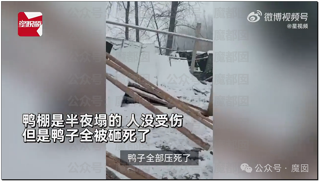 一场春运暴雪，中国被高速堵满的私家车害惨了（组图） - 33