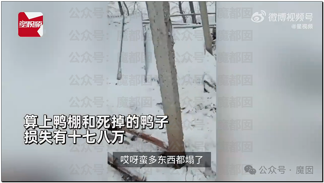 一场春运暴雪，中国被高速堵满的私家车害惨了（组图） - 34