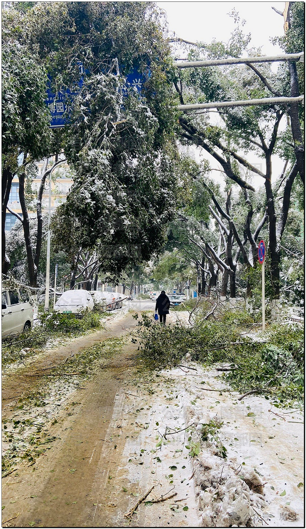 一场春运暴雪，中国被高速堵满的私家车害惨了（组图） - 10