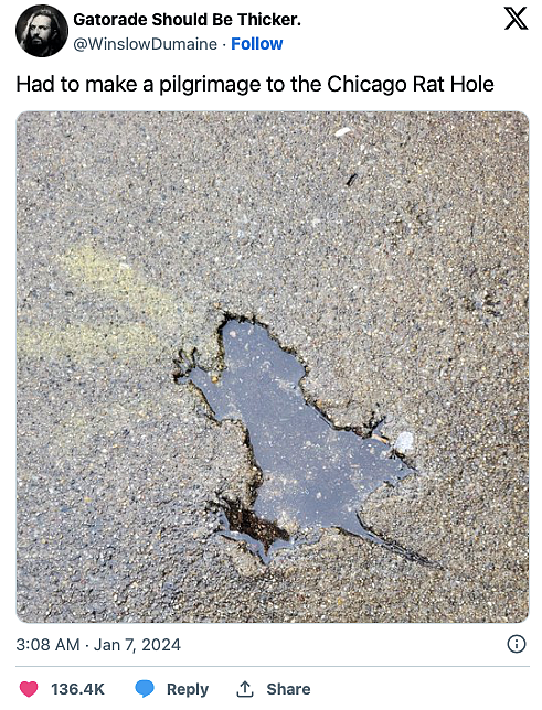 芝加哥一个“老鼠坑“突然走红，游客们纷纷前往朝圣打卡许愿？网友：太无聊...（组图） - 3