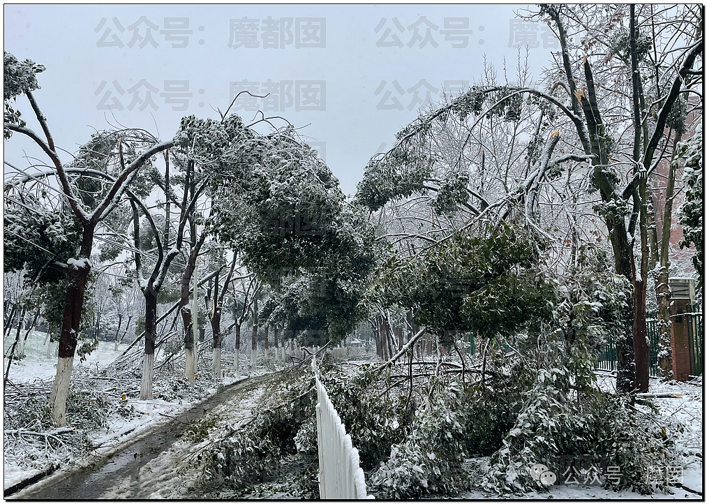 一场春运暴雪，中国被高速堵满的私家车害惨了（组图） - 8