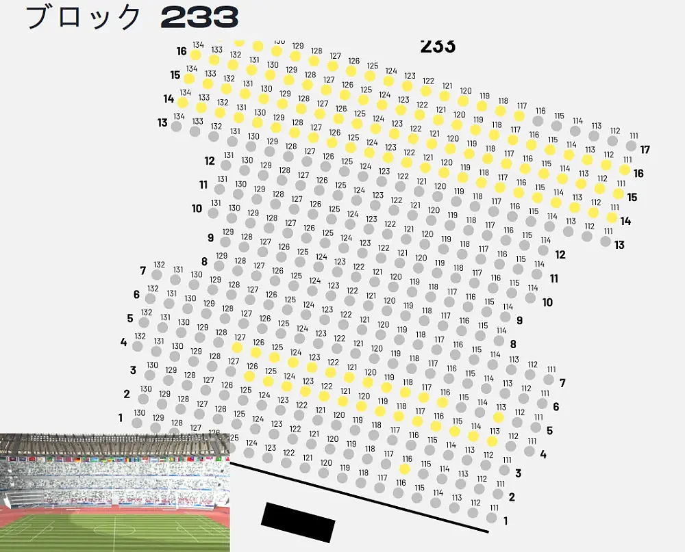 梅西日本行遇冷！最便宜的门票都没卖完，票价不到250元（组图） - 22