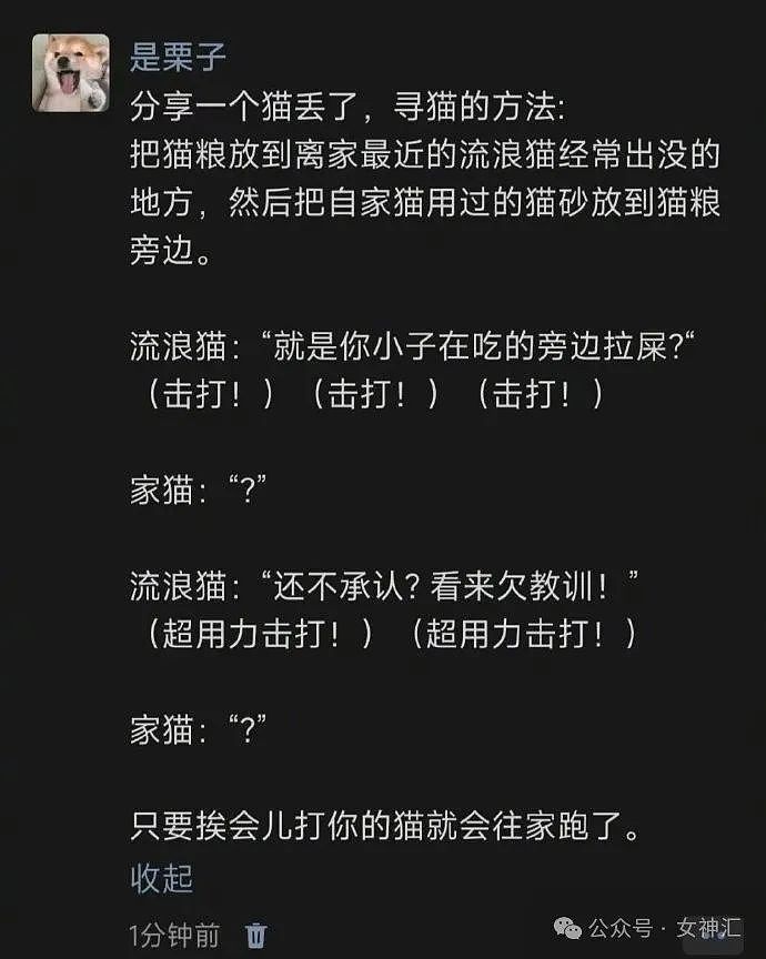 【爆笑】前男友突然给我转账5万后，把我拉黑了？网友傻眼：这操作太野了（组图） - 33