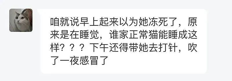 【宠物】妹纸发现猫咪嘴巴和爪爪全是血，急得大哭，结果...白哭了呜呜呜（组图） - 16