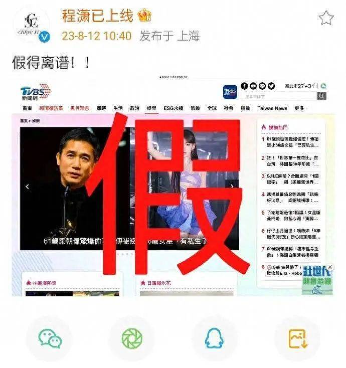 董洁潘粤明复合怀二胎？儿子顶顶高颜值神似梁朝伟，被疑有亲子关系（组图） - 19