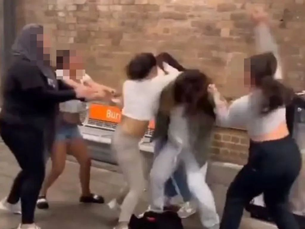 现场尖叫！澳华人女生遭穆斯林女孩围殴；ACT车站大改造，暖心考虑残疾人进出（组图） - 12