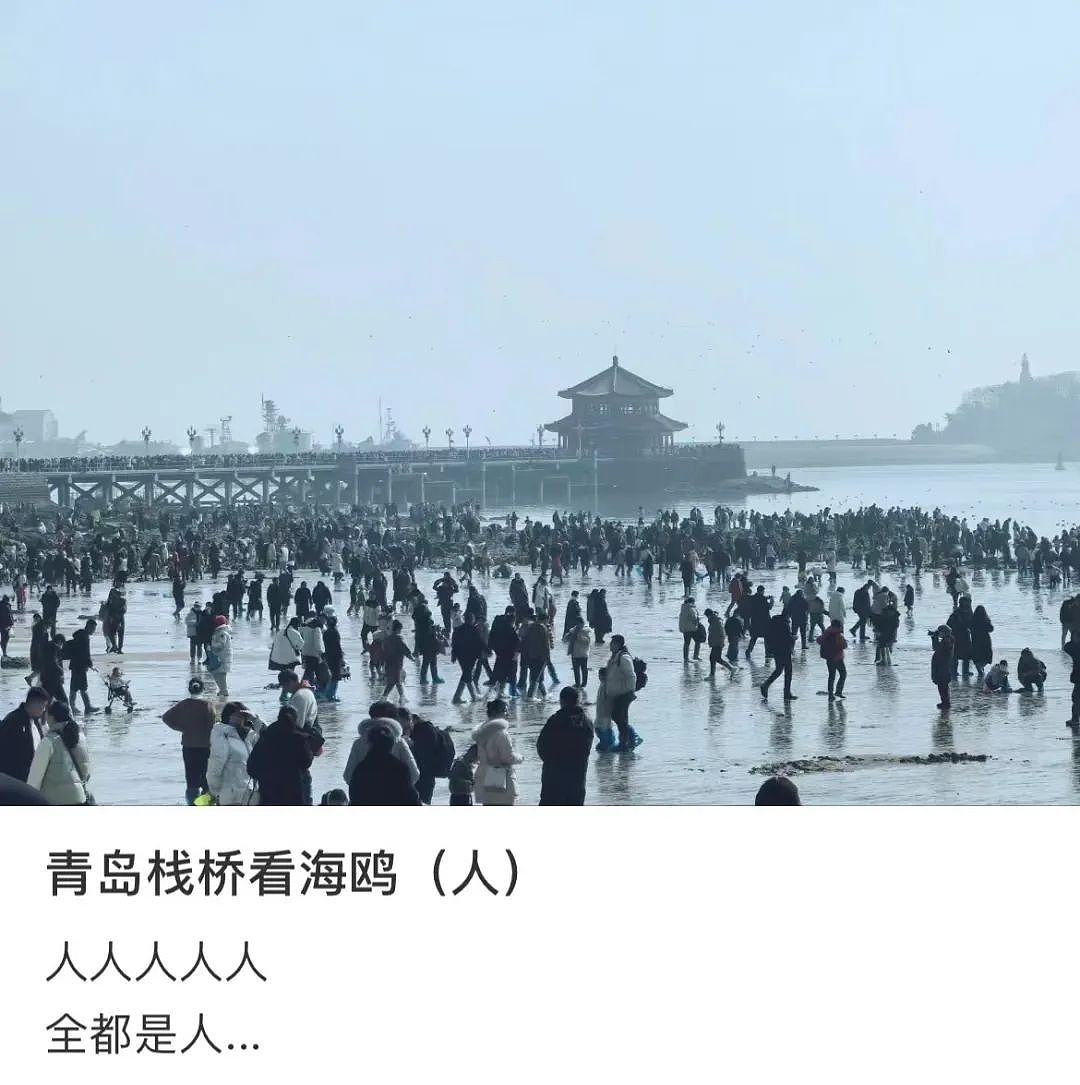 “景区挤爆图”海量上新！雍和宫地铁封站，灵隐飞来峰“劝游客回家”，大理洱海骑行竟然“堵车”了（组图） - 19