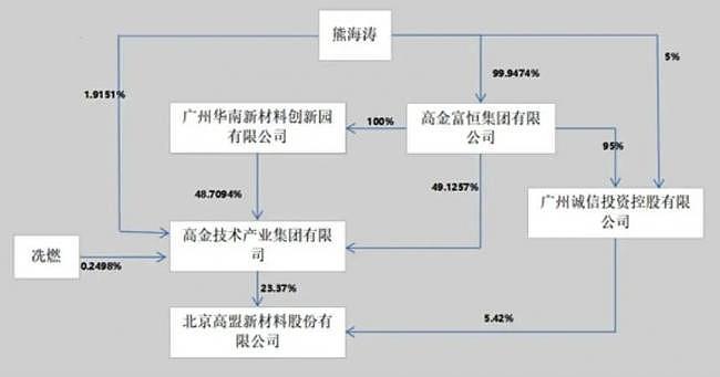 深夜暴雷！董事长被抓，100亿“神秘女富豪”浮出水面（组图） - 4