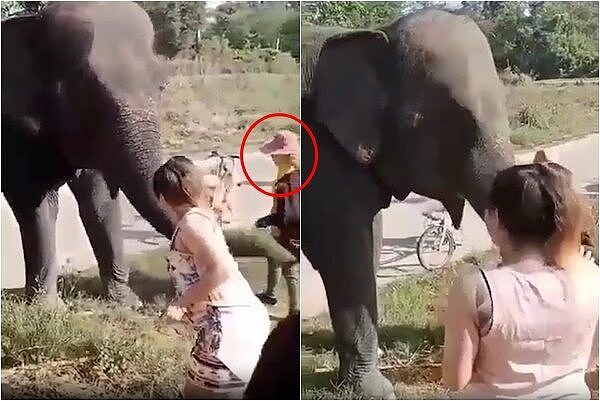 泰大象突暴走！35岁人妻靠近母象做功德，遭“踩爆肺部”惨死（组图） - 1