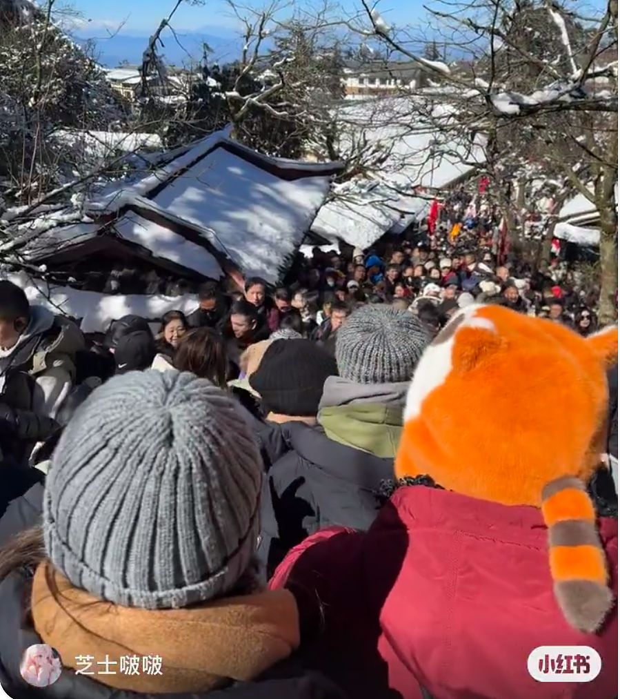 “景区挤爆图”海量上新！雍和宫地铁封站，灵隐飞来峰“劝游客回家”，大理洱海骑行竟然“堵车”了（组图） - 7