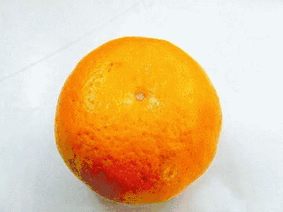橘子上的白丝，吃了有坏处吗？10个吃橘子橙子的困惑，终于有答案了（组图） - 1