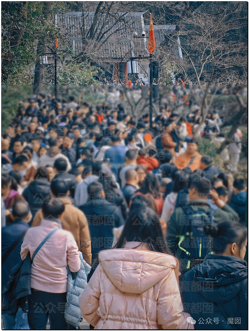 疯狂到错愕！春节旅游爆发，到处人山人海，拥挤到双脚腾空（组图） - 86