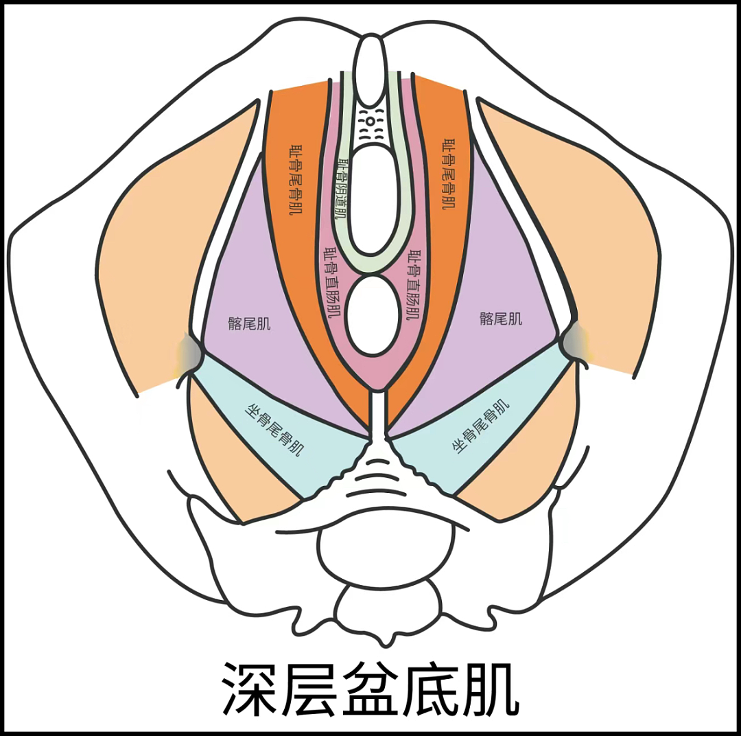 修复处女膜就能嫁得好？内娱星妈咋想的！（组图） - 38