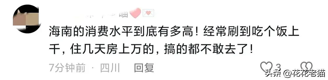 闹大了！女子海南租房10天花2万，退房被要求把马桶擦干净后报警（组图） - 10