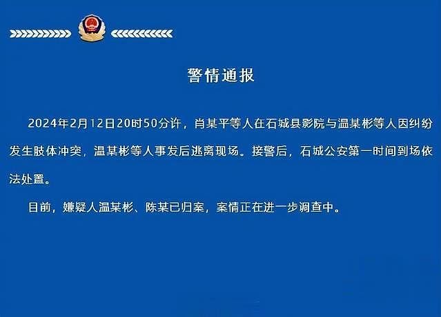 内地夫妻看电影要求前排学生调整座位遭拒绝，竟Call人殴打学生（组图） - 4