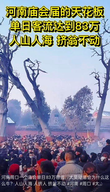 83万人挤爆！曾经最“土”景点，今年春节翻身了（组图） - 3