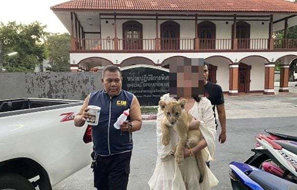 中国籍女子在普吉岛被捕，因为在酒店里养狮子…（组图） - 1