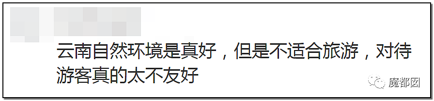 央视震怒！游泳冠军傅园慧在长白山旅游被司机勒索内幕（组图） - 175