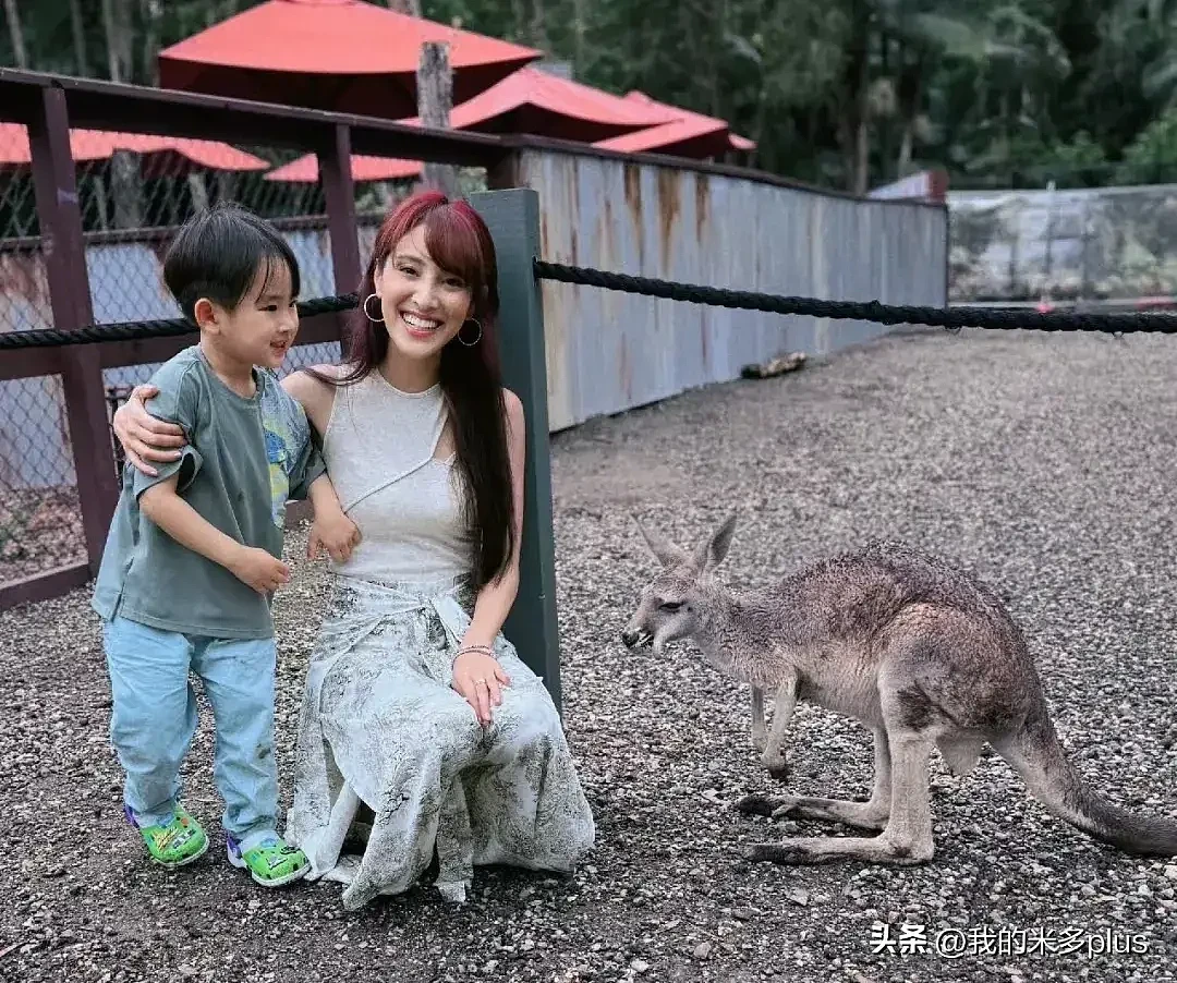 郑嘉颖一家春节澳洲旅游，两个儿子喂袋鼠，陈凯琳一头红发显老气（组图） - 5