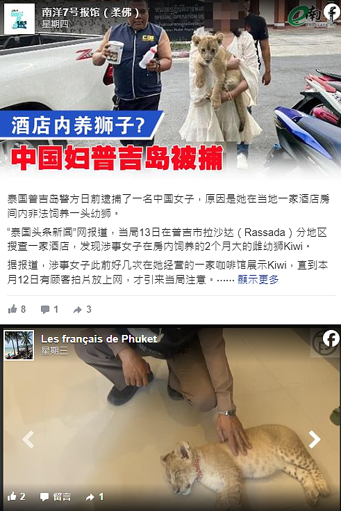 中国女子偷养宠物带进咖啡馆吸客，警方一查竟然是狮子...（组图） - 1