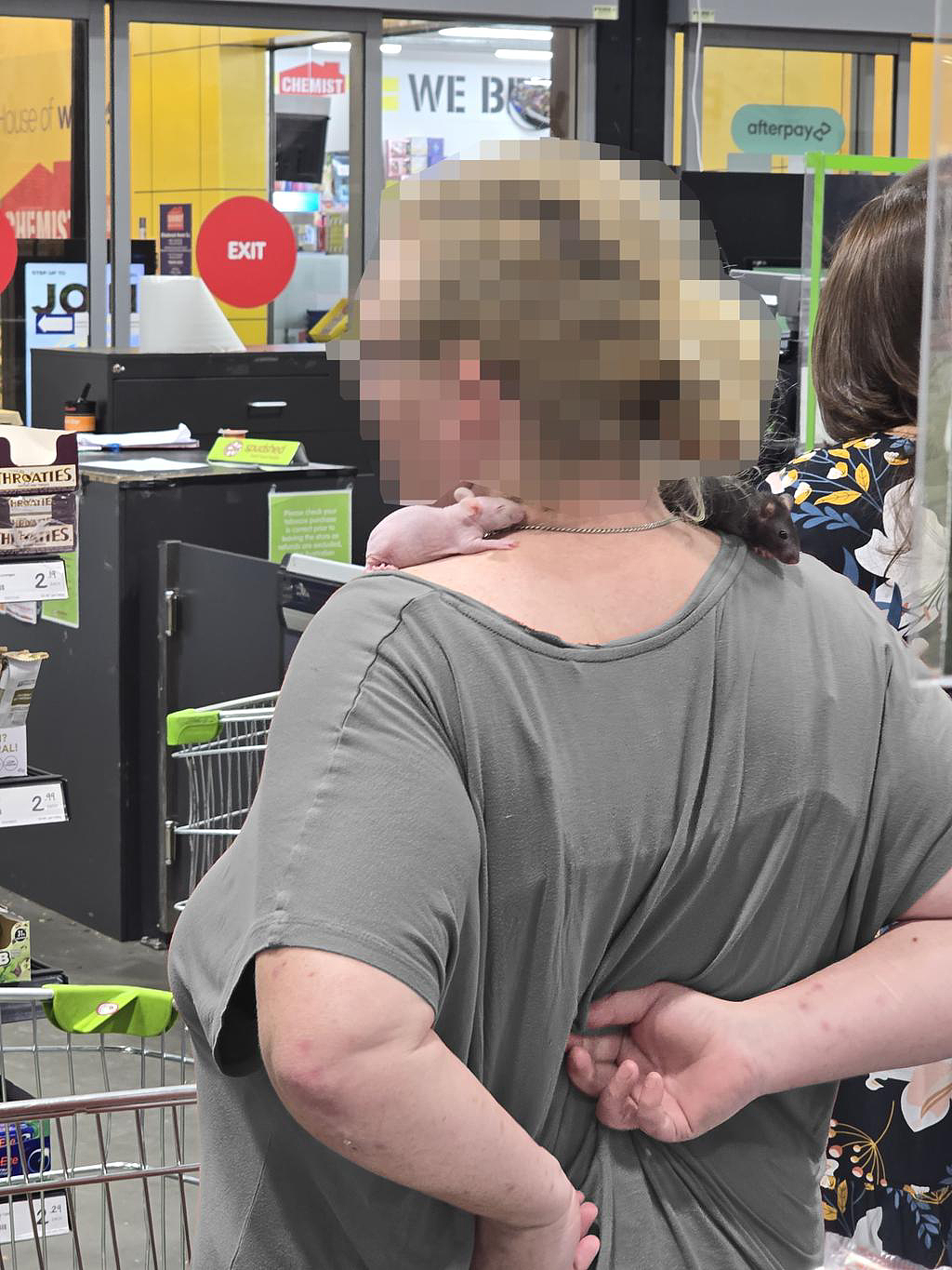 澳洲女子超市结账，肩头突然冒出一个活物，众人都吓坏了（组图） - 2