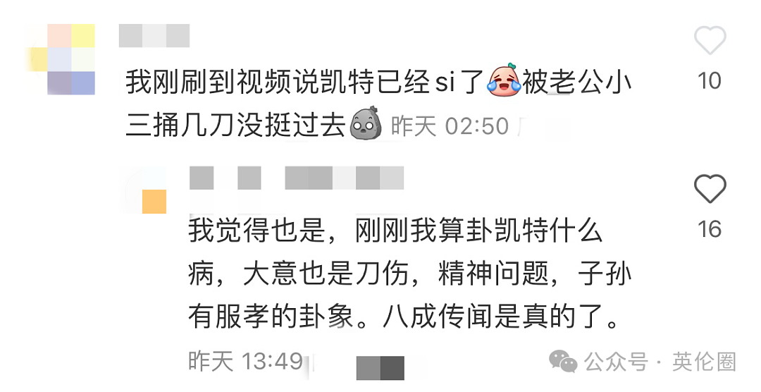 凯特被小三捅刀？被王室控制？为躲谣言回乡休养！威廉独自出公务，身形消瘦...（组图） - 9