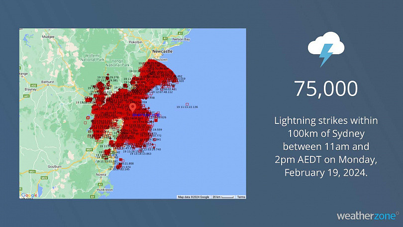 澳洲恐怖雷暴！悉尼3小时雷击7.5万次，4人树下躲雨被劈中送院（组图） - 3