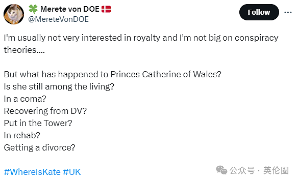 全民找凯特！已彻底失踪2个月，各路猜测越发离谱…哈里：我愿回英国扛起王室职务！（组图） - 14
