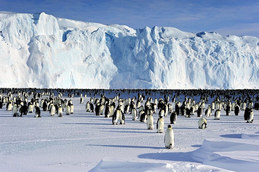 中国建立秦岭站在南极洲加强部署，分析人士称澳洲“放松了警惕”（组图） - 4