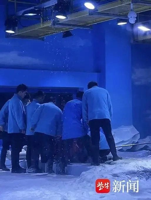 郑州海洋馆潜水员馆内溺亡，多名游客目击围观：一度以为是假人（组图） - 3