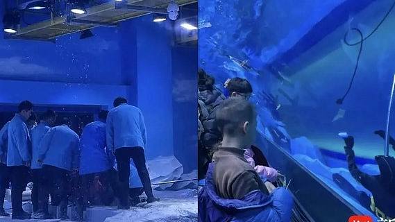 郑州海洋馆潜水员馆内溺亡，多名游客目击围观：一度以为是假人（组图） - 1