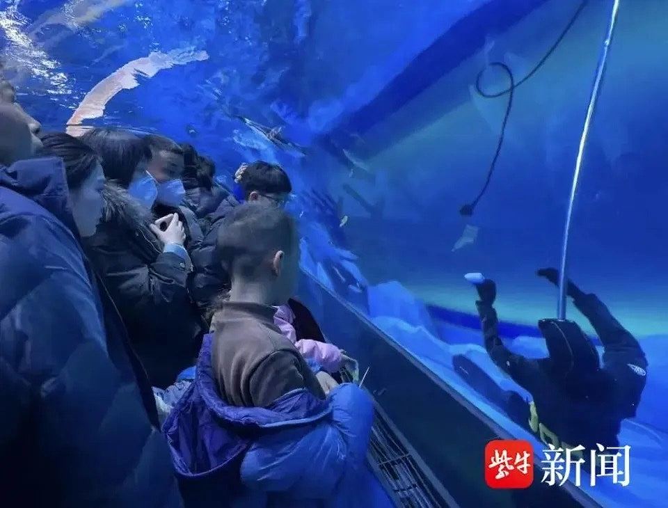 郑州海洋馆潜水员馆内溺亡，多名游客目击围观：一度以为是假人（组图） - 2
