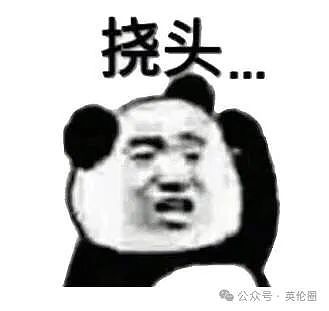 凯特患“不死癌症“？王室“正在克隆新王妃“？病中任命新秘书，亲妹现身海滩度假...（组图） - 5