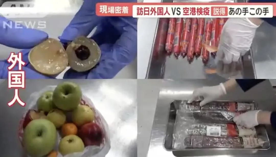 多名中国旅客携带水果，肉制品入境日本！大妈不舍丢弃，想当场吃橘子，被检疫人员扣下（组图） - 12