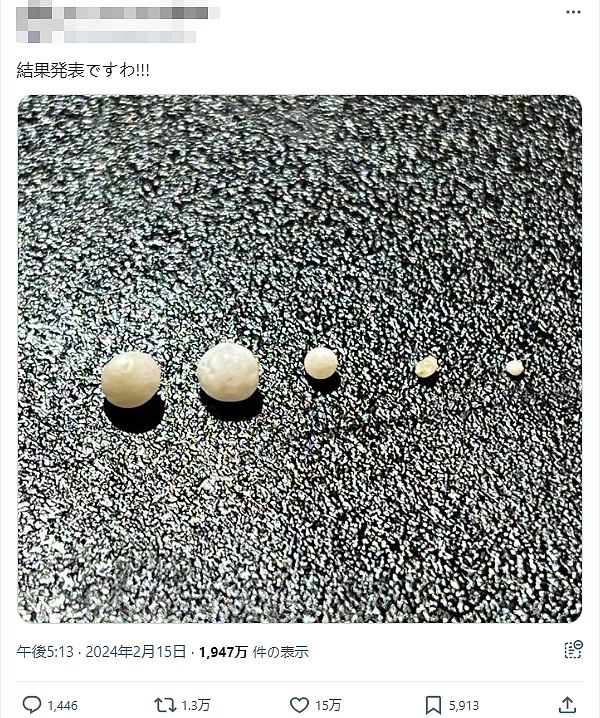 日本一乡民半价买扇贝，拿回家竟开出7颗天然珍珠，网友看完惊掉下巴…（组图） - 9